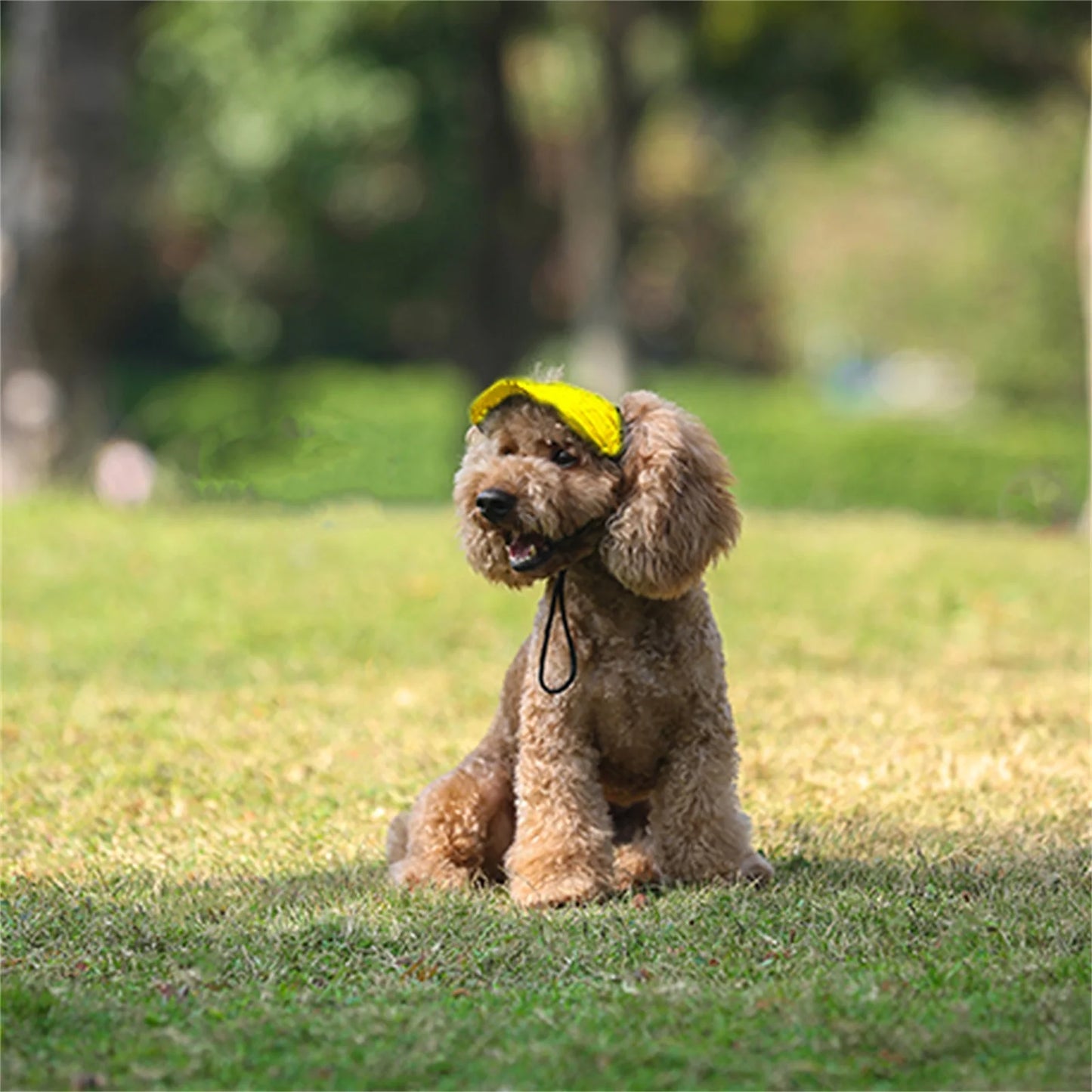 Sporty Dog Sun Cap