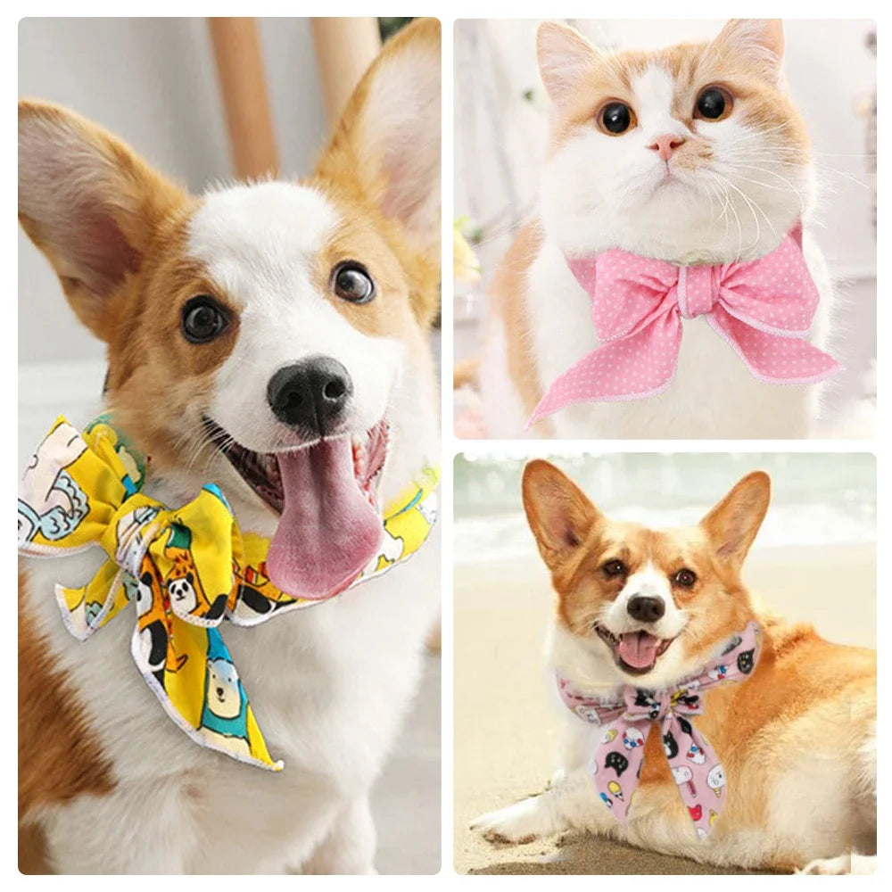 Pet Ice Scarf